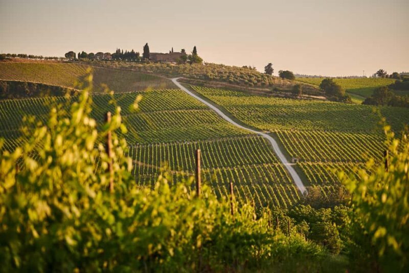 From Florence: Chianti Wine Tour with Driver-Guide - Practical Details and Value