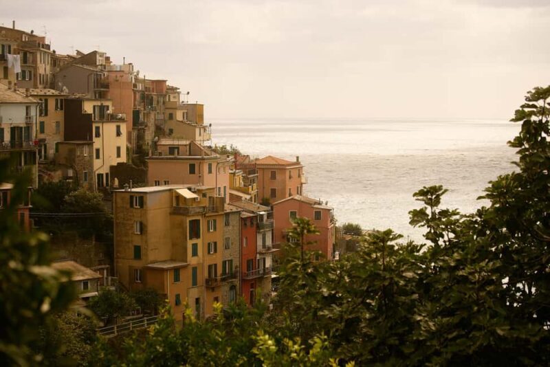From Florence: Cinque Terre Day Trip with stop in Pisa - Key Points