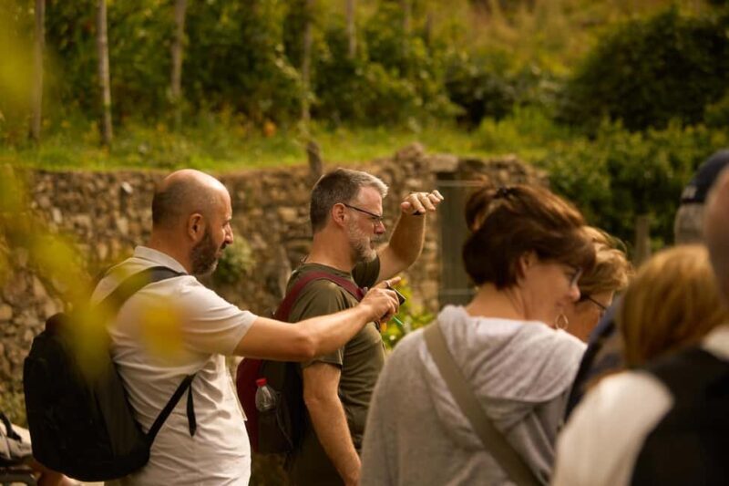 From Florence: Cinque Terre Day Trip with stop in Pisa - What You Can Expect From This Tour