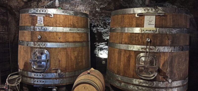 From Florence: Pisa/Chianti Half Day Tour with Wine Tasting - What to Expect from the Tour