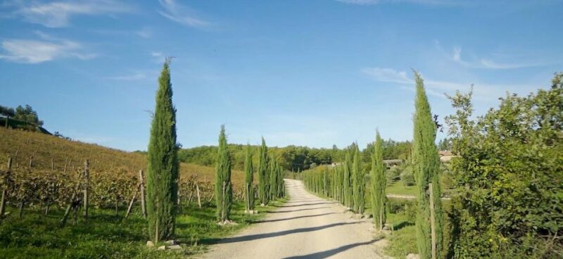 From Florence: Private Half-Day Chianti Tour & Wine Tasting - The Scenic Drive and First Stop: Greve in Chianti