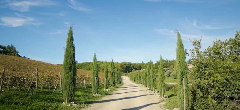 From Florence: Private Half-Day Chianti Tour & Wine Tasting - The Tasting Experience