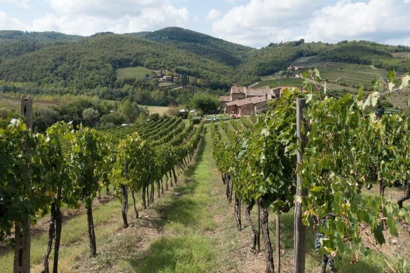 From Florence: Private Half-Day Chianti Tour & Wine Tasting - Practicalities and Considerations