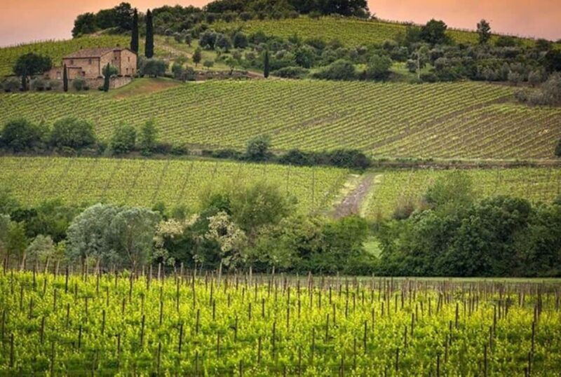 From Florence: Private Montalcino & Montepulciano Wine Tour - Who Is This Tour Best For?