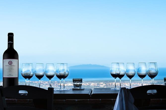 From Florence PRIVATE:Bolgheri Wine Tour,tasting among the Tuscany coastal hills - A Complete Look at the Bolgheri Wine Tour Experience