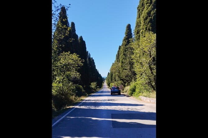 From Florence PRIVATE:Bolgheri Wine Tour,tasting among the Tuscany coastal hills - Final Thoughts