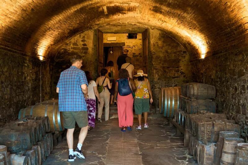 From Florence: Small Group Chianti Wine Tour with Lunch - What to Expect from the Tour
