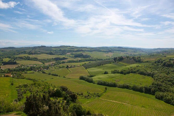 From Florence: Small-Group Tuscany Wine & Oil Tour with typical Tuscan Meal - Final Thoughts