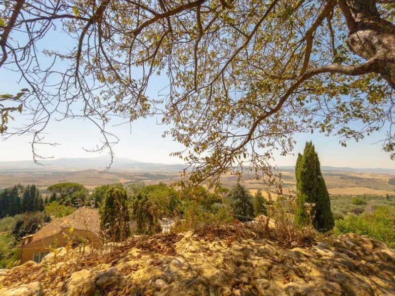 From Florence: Val D'Orcia Tour with Wine Tasting - Key Points