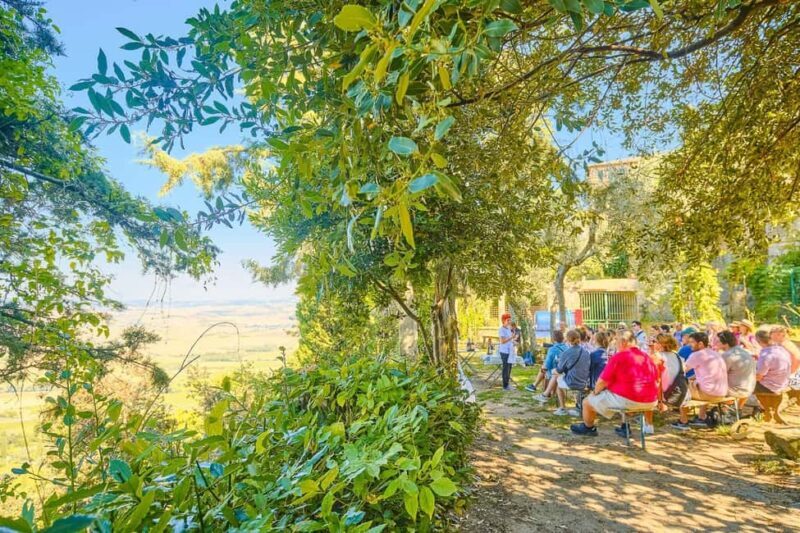 From Florence: Val D'Orcia Tour with Wine Tasting - The Food & Wine Experience