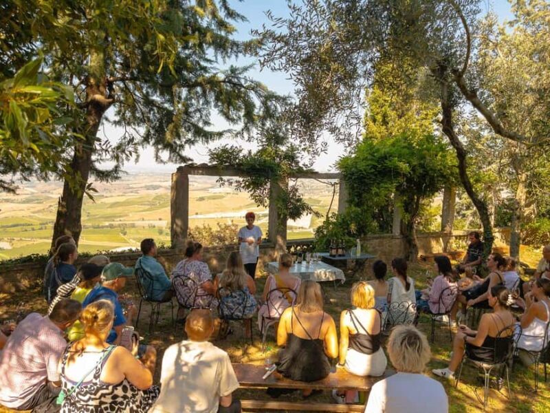 From Florence: Val D'Orcia Tour with Wine Tasting - The Guides and Transportation