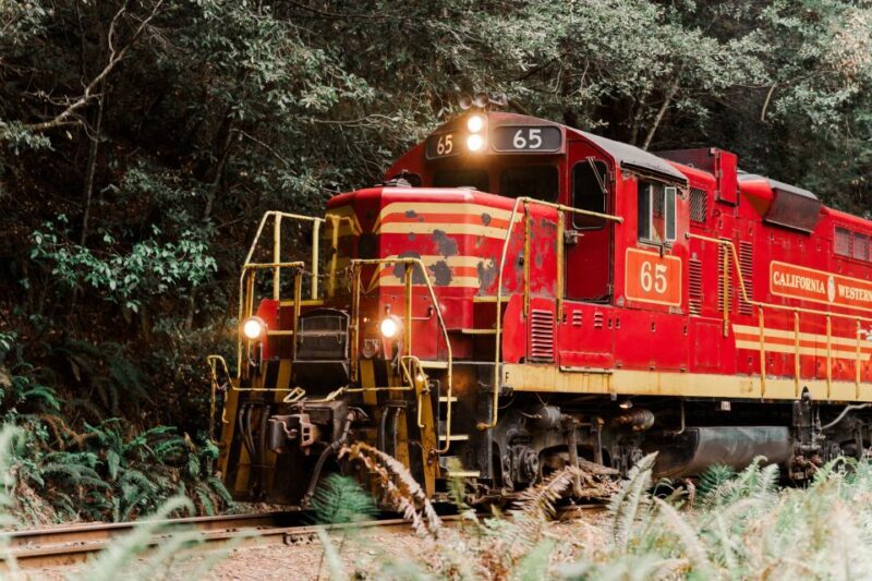 From Fort Bragg: Redwoods Train Ride and Nightclub Ticket - What is this experience all about?
