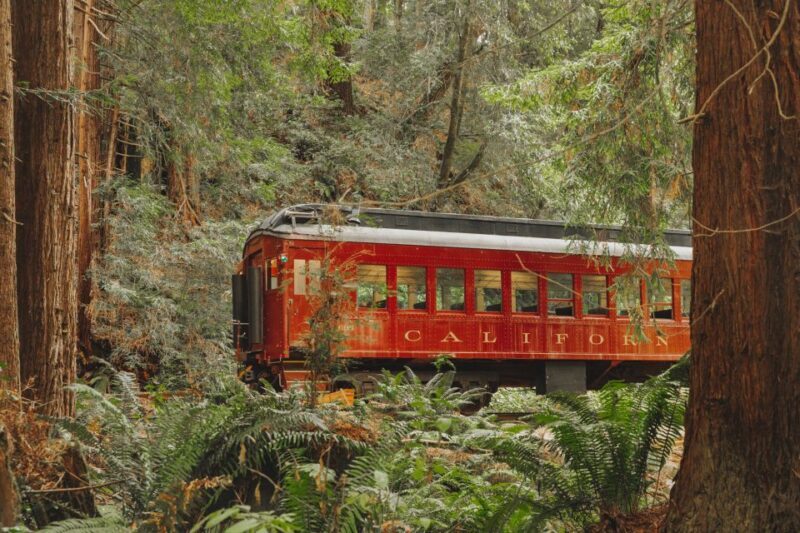 From Fort Bragg: Redwoods Train Ride and Nightclub Ticket - Is this experience worth it?