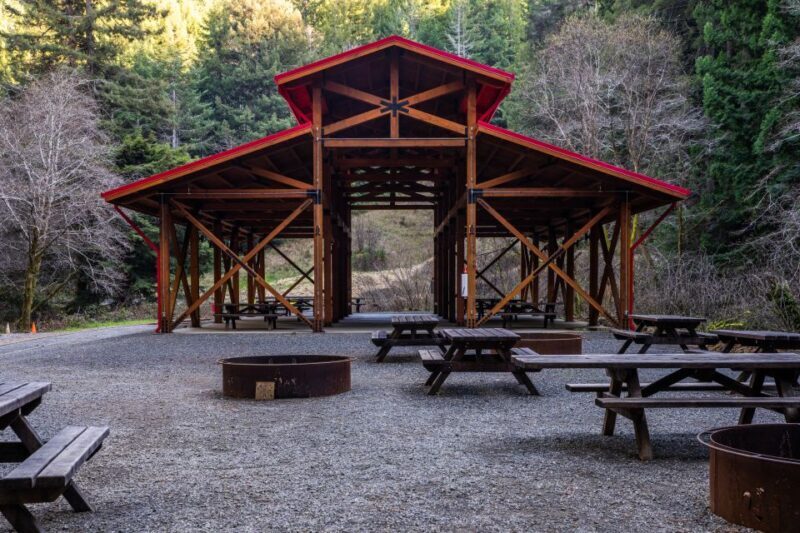 From Fort Bragg: Redwoods Train Ride and Nightclub Ticket - Who is this best suited for?