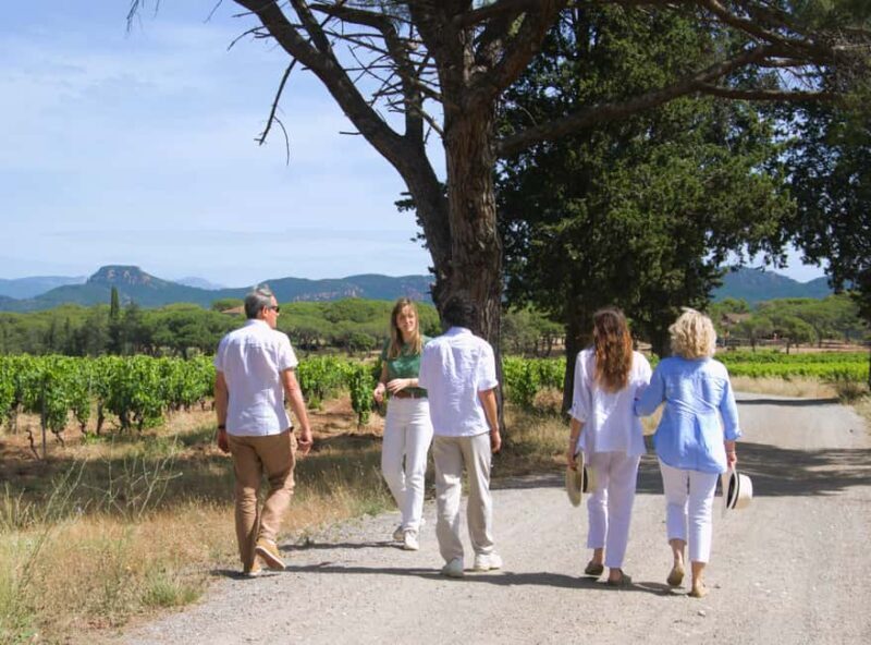 From Fréjus: Van tour to the heart of the Provençal vineyards - Key Points