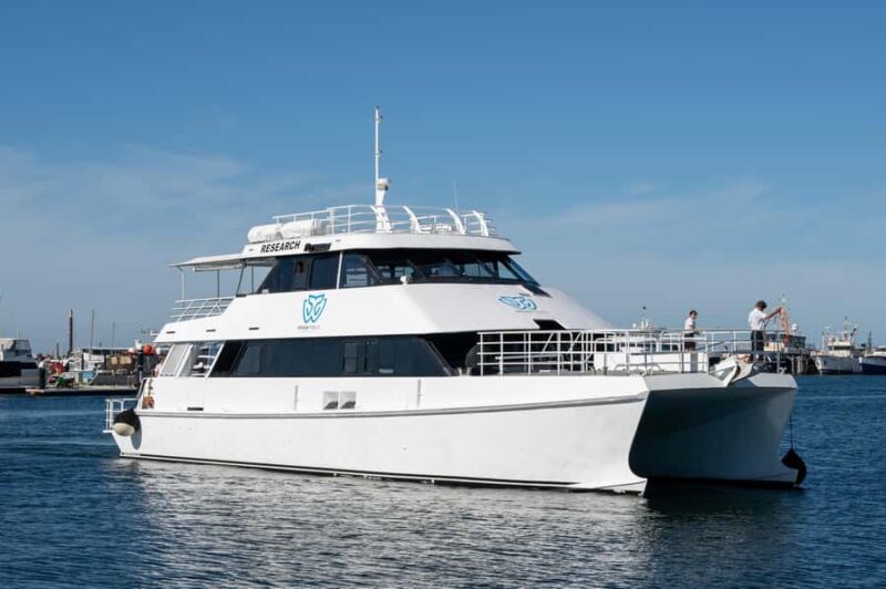 From Fremantle: 2-Hour Luxury Whale-Watching Cruise - FAQ