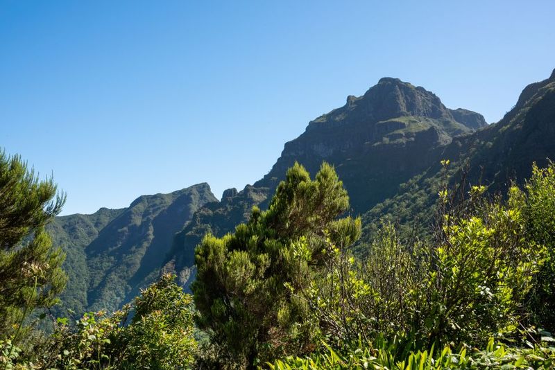 From Funchal: Best of Madeira's West Tour - Ribeira Brava Northward: Watching Madeira Change as You Climb