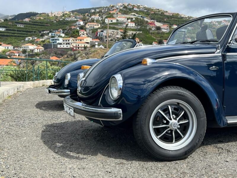 From Funchal: Cabo Girão & Poncha Tasting by Classic VW - Final Thoughts