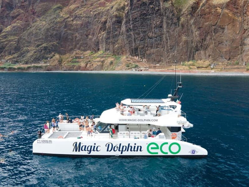 From Funchal: Ecological Catamaran Dolphin Whale Watching - Who Would Love This Experience?