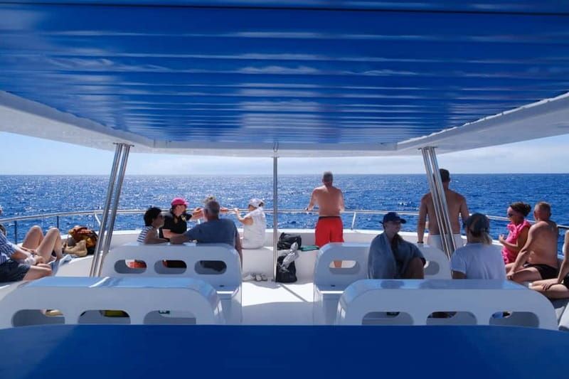 From Funchal: Ecological Catamaran Dolphin Whale Watching - The return route: Cabo Girão and Câmara de Lobos Bay views