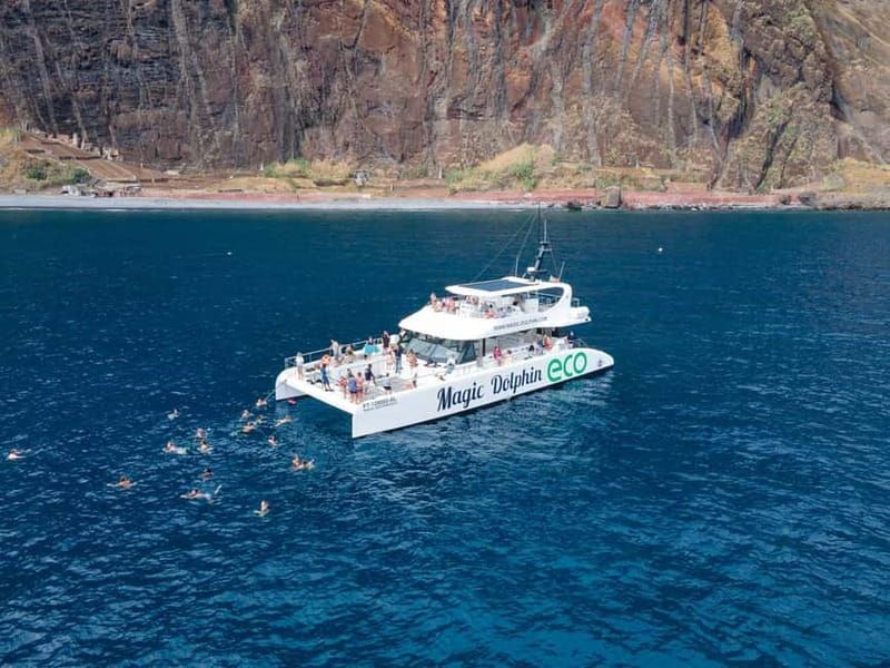 From Funchal: Ecological Catamaran Dolphin Whale Watching - Bar service on board: snacks, drinks, and what to check if you want wine