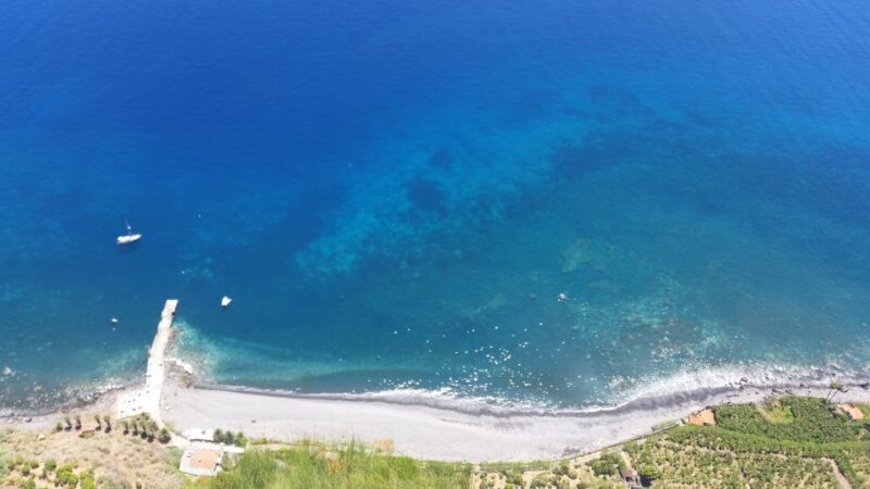 From Funchal: Eucalyptus Forest Guided 4x4 Tour - Discovering Madeira’s Hidden Gems on a 4x4