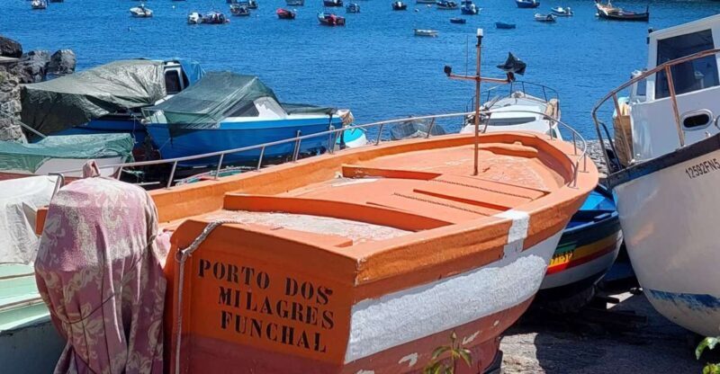 From Funchal: Eucalyptus Forest Guided 4x4 Tour - The Off-Road Experience and Guide’s Knowledge