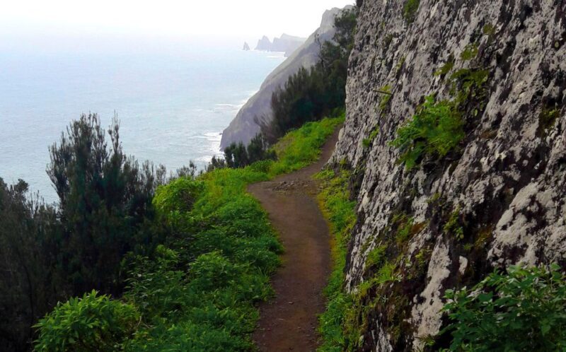 From Funchal: Machico to Porto da Cruz Larano Cliff Hike - Key Points