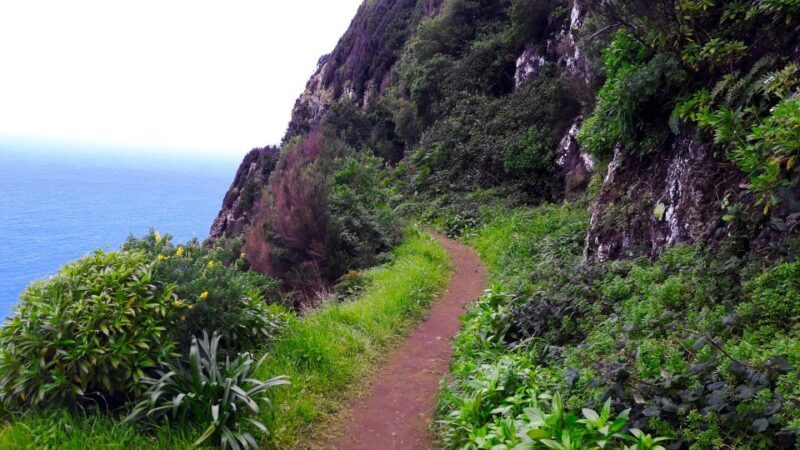 From Funchal: Machico to Porto da Cruz Larano Cliff Hike - FAQ
