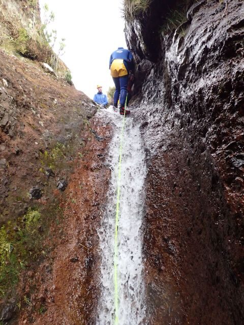 From Funchal: Madeira Island Canyoning for Beginners - What is Madeira Island Canyoning for Beginners?