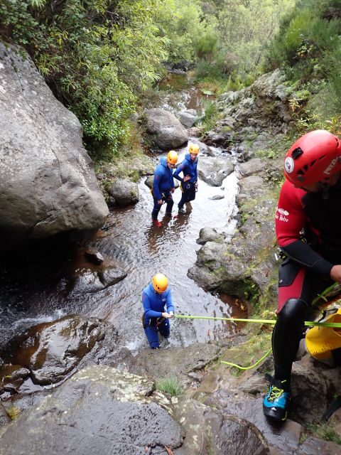 From Funchal: Madeira Island Canyoning for Beginners - The Experience: What You’ll Feel and See