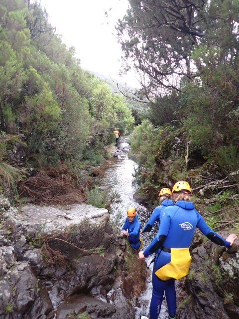 From Funchal: Madeira Island Canyoning for Beginners - Value for Money