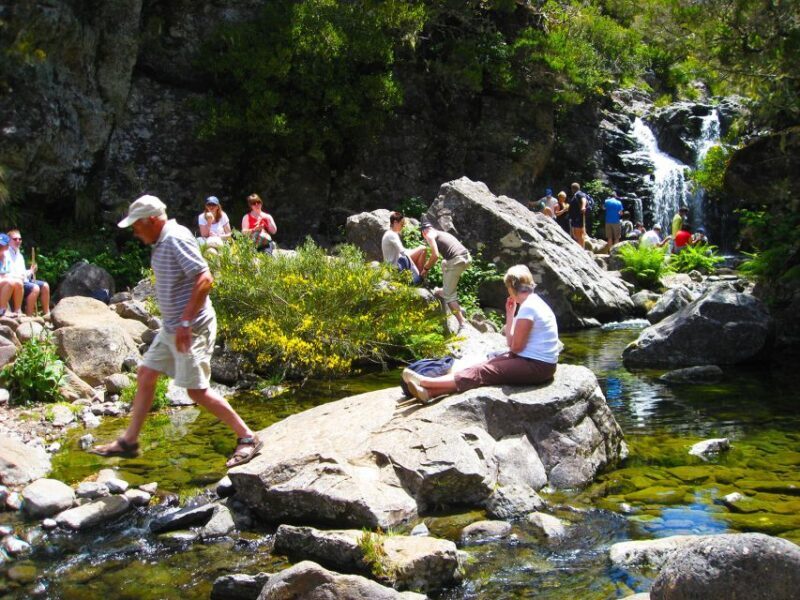 From Funchal: Madeira Lakes Levada Guided Hike - An In-Depth Look at the Madeira Lakes Levada Guided Hike