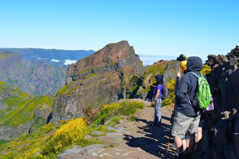 From Funchal: Madeira Peaks Mountain Walk - Key Points