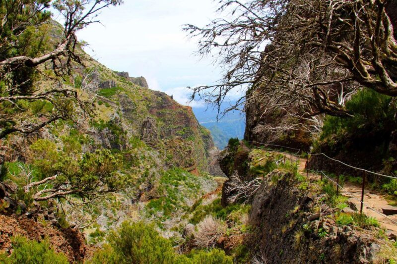From Funchal: Madeira Peaks Mountain Walk - Final Thoughts