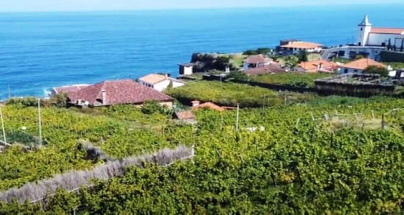 From Funchal: Madeira Wine Tour, Cable Car & Typical Lunch - The Typical Madeiran Lunch