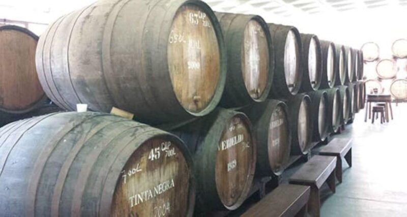 From Funchal: Madeira Wine Tour, Cable Car & Typical Lunch - Who Is This Tour Best For?