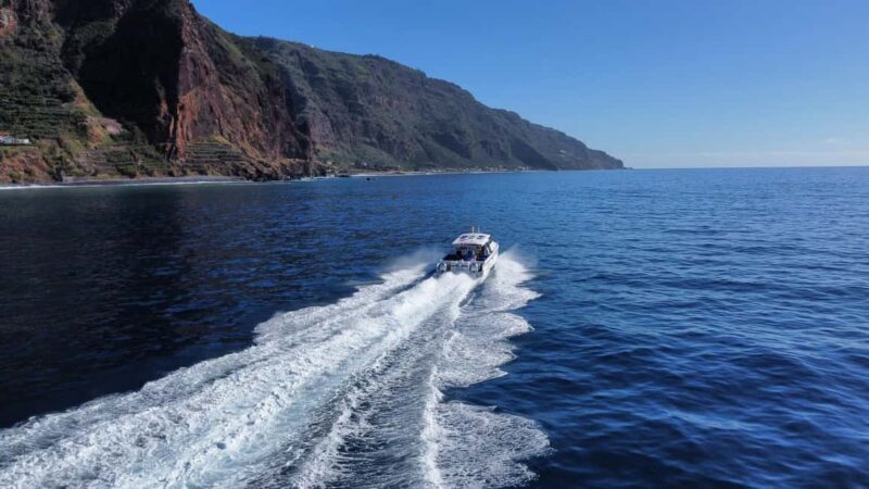 From Funchal: Modern Catamaran Coastal Exploration Boat Tour - Wrapping It Up
