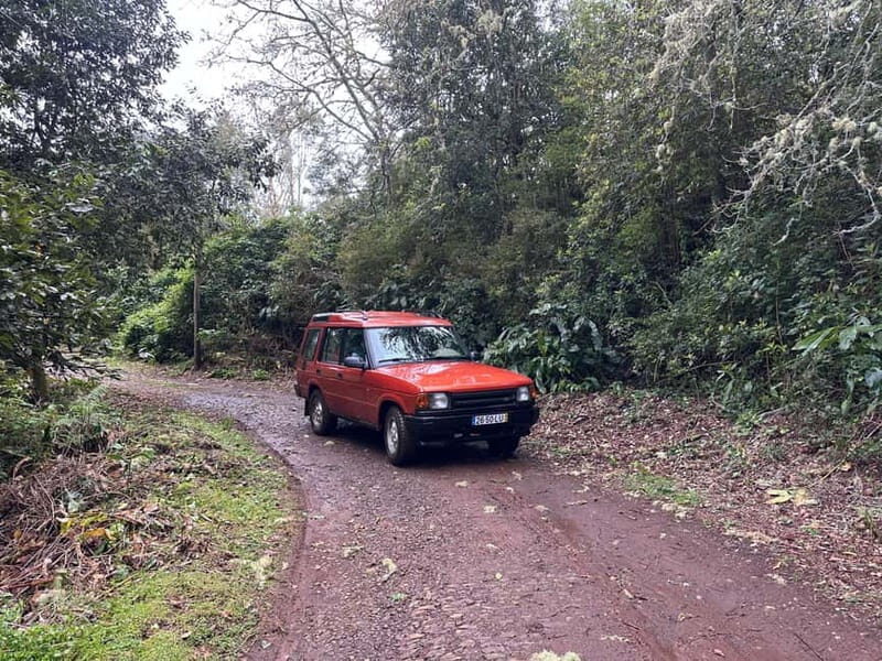 From Funchal: Private Eastern or Western Jeep Tour - What Makes This Tour Stand Out?