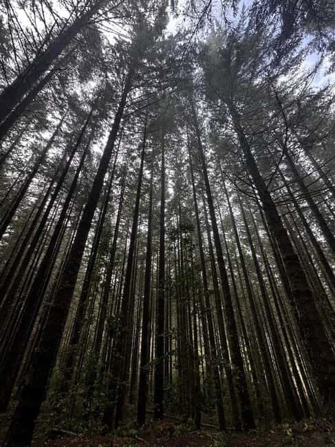 From Funchal: Private Eastern or Western Jeep Tour - Final Thoughts