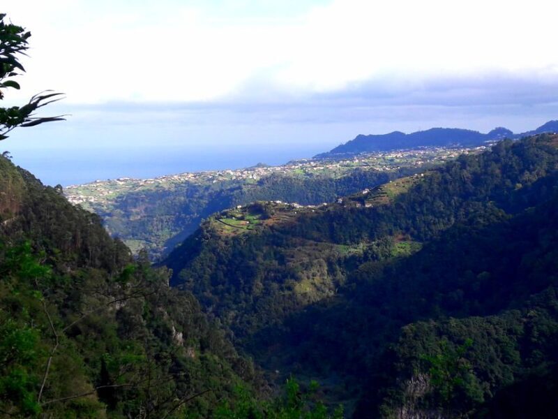 From Funchal: São Jorge Valleys Levada Walk - Final Thoughts