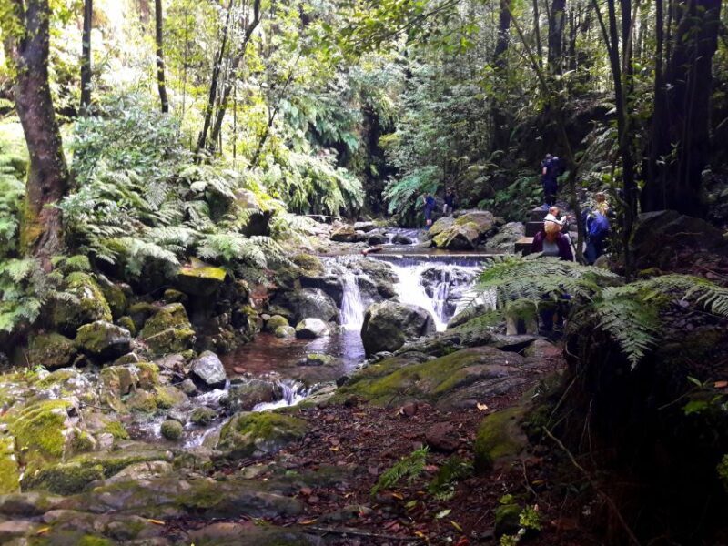 From Funchal: São Jorge Valleys Levada Walk - FAQ