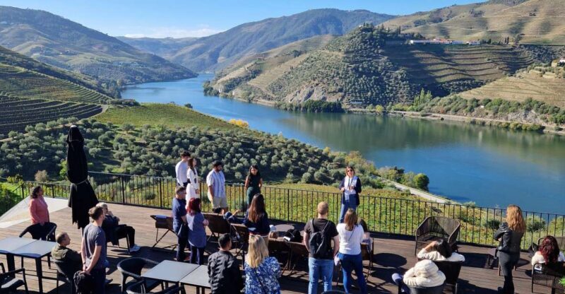 From Gaia Douro Valley Tour Wine Tasting River Cruise Lunch - Who Is This Tour Best For?