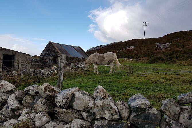 From Galway: Guided tour of Connemara with 3 hour stop at Connemara National Pk. - Who This Tour Is Best For