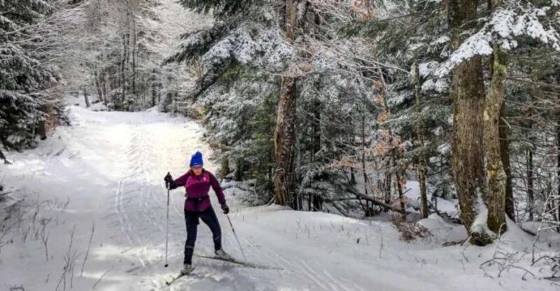 From Gardiner: Guided Yellowstone Cross-Country Skiing Tour - Exploring the Yellowstone Cross-Country Skiing Experience