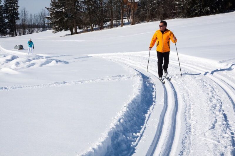 From Gardiner: Guided Yellowstone Cross-Country Skiing Tour - Who Will Love This Tour?