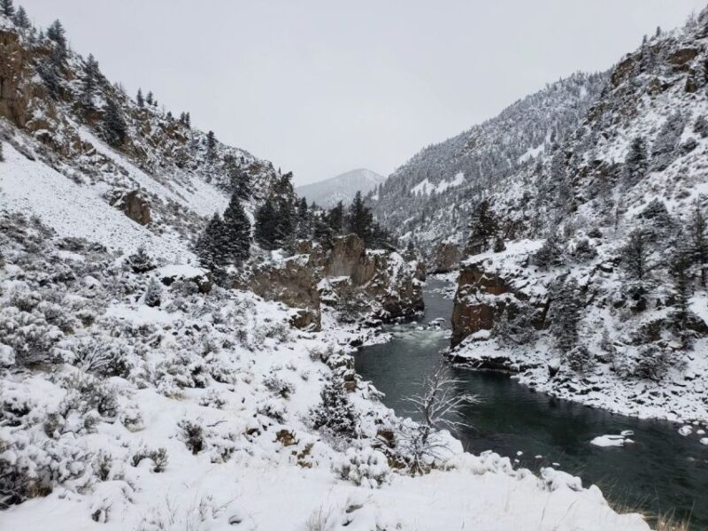 From Gardiner: Guided Yellowstone Cross-Country Skiing Tour - Final Thoughts