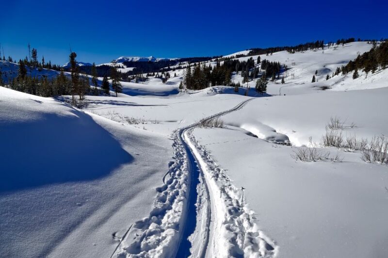 From Gardiner: Yellowstone National Park Snowshoe Tour - Final Thoughts