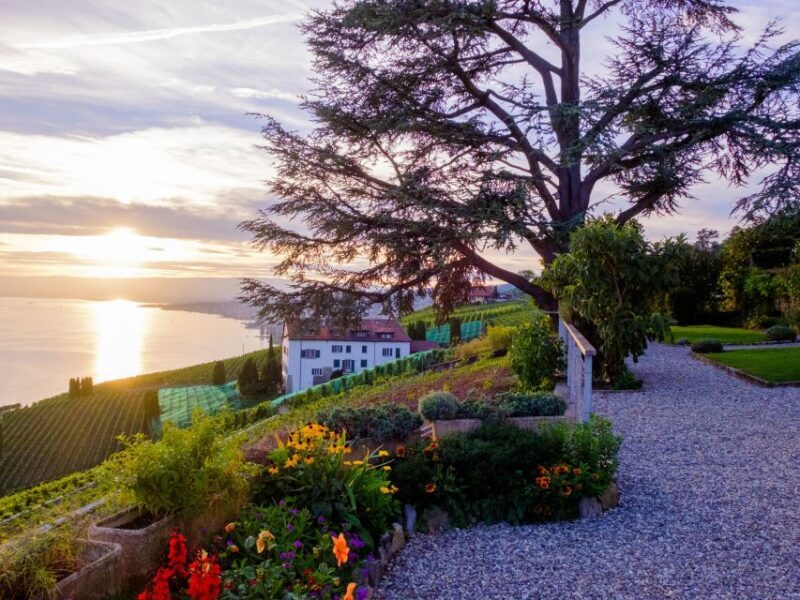 From Geneva: Swiss Riviera Private Tour - Who Is This Tour For?