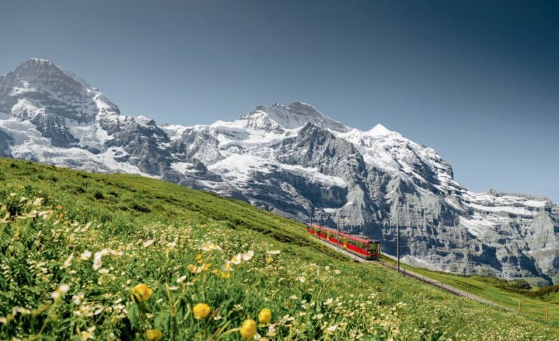 From Geneva to Interlaken - Practical Tips for Your Day